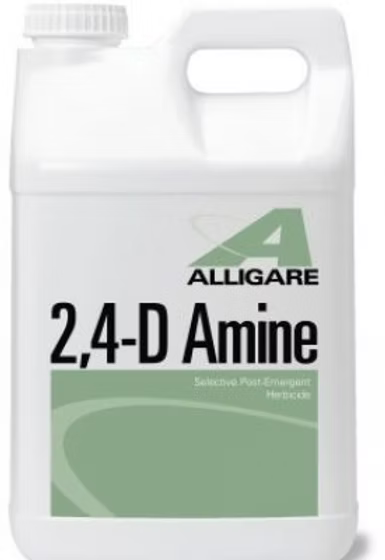2,4-D AMINE