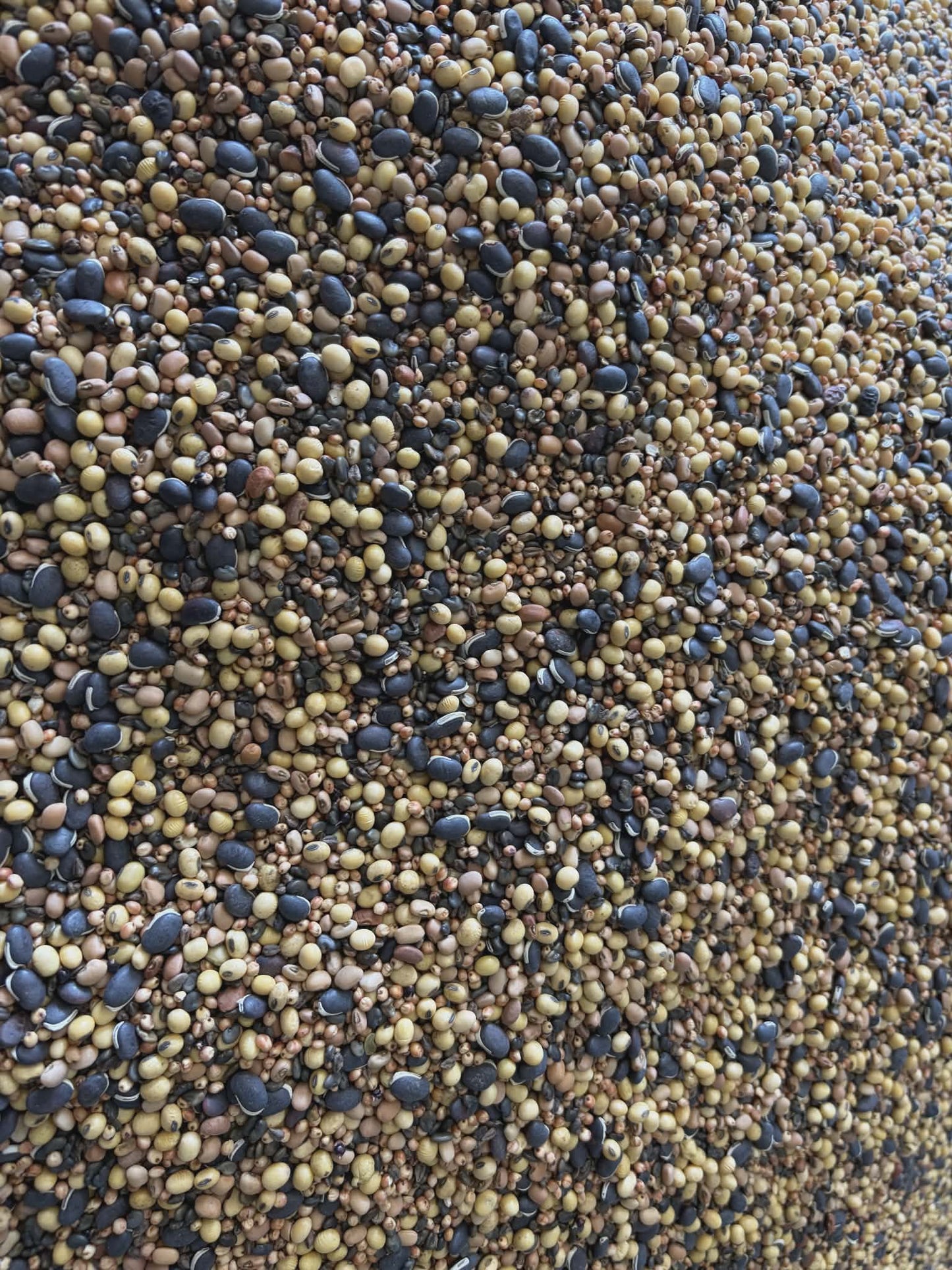 TD Wildlife Custom Seed Mix