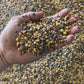 TD Wildlife Custom Seed Mix