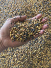 TD Wildlife Custom Seed Mix