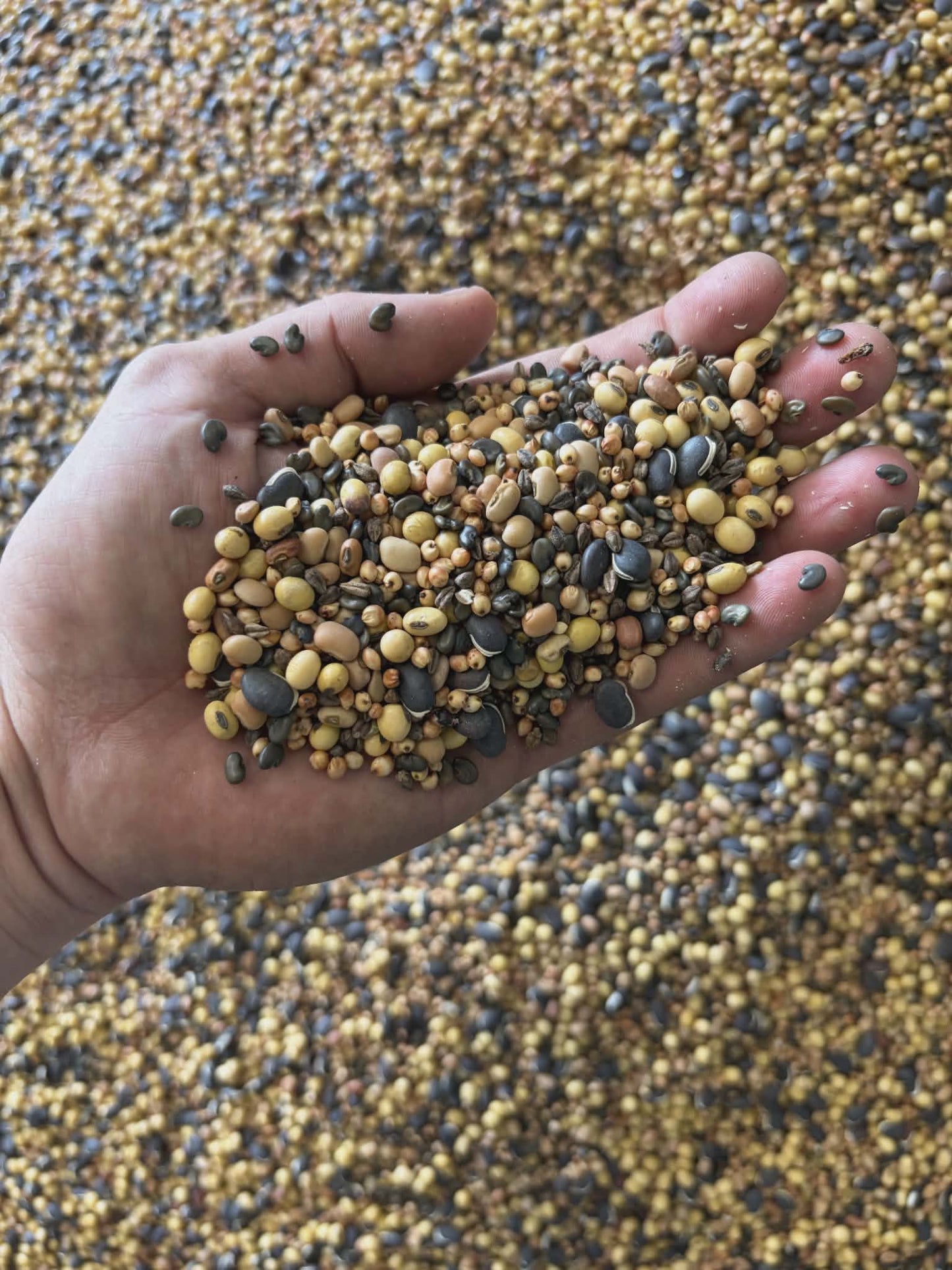 TD Wildlife Custom Seed Mix